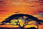20_tramonto-africa